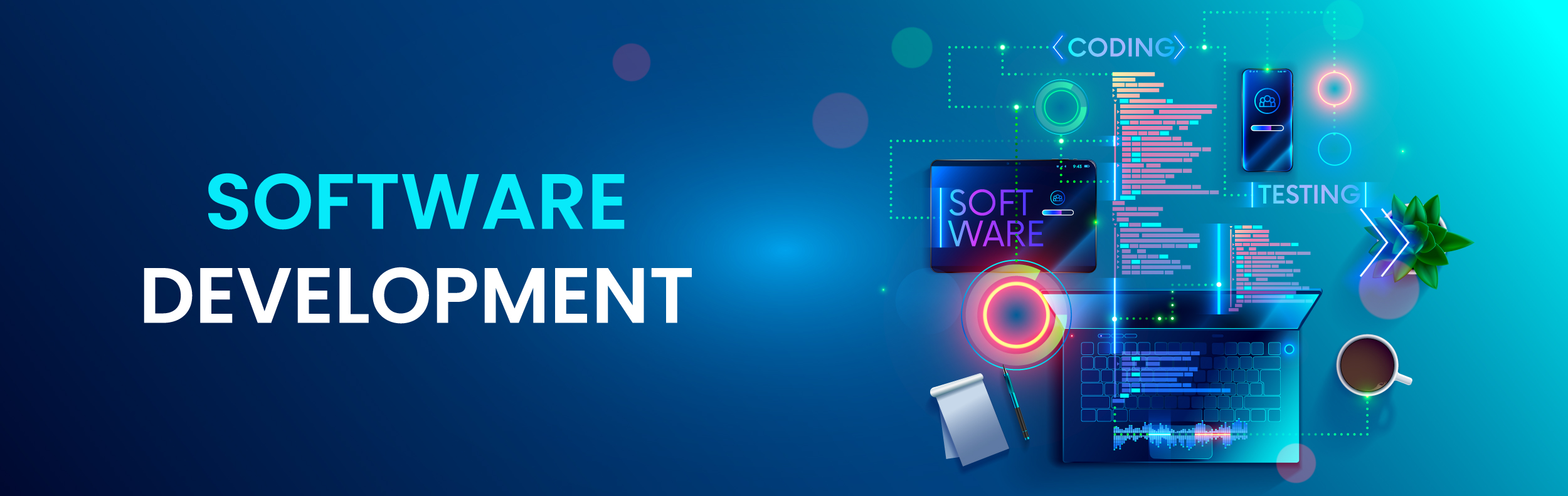 software development